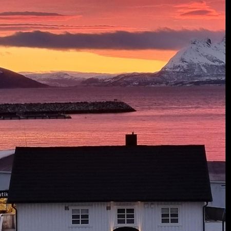 Loftsleilighet midt i sentrum Skjervoy Eksteriør bilde
