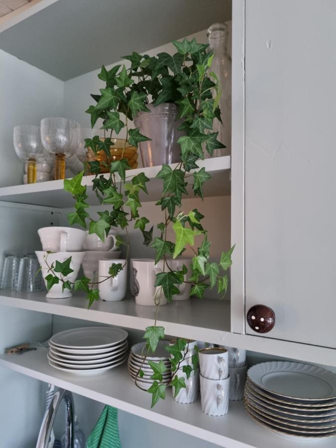 Loftsleilighet midt i sentrum Skjervoy Eksteriør bilde